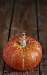 pumpkin on a dark background. copy space.