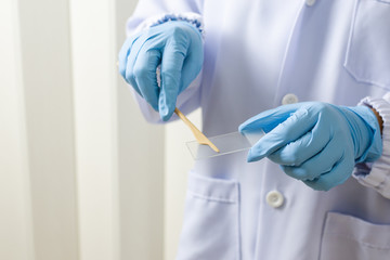 Doctor hand holding spatula and glass slide cytology set.Gynecologist working for vaginal and...