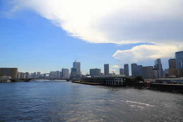 隅田川河口に広がる高層ビル群の風景