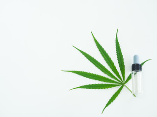 Medical marijuana and oil bottle isolate on white background. Green leaves of cannabis.Green leaf tree.Natural plant pharmaceutical production for alternative medicine concept.