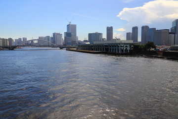Fototapeta premium 隅田川と再開発前の築地風景