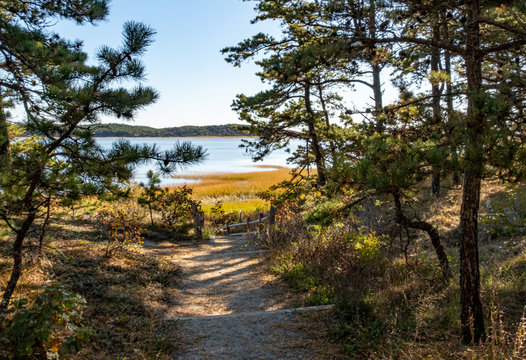 Great Island Trail 1