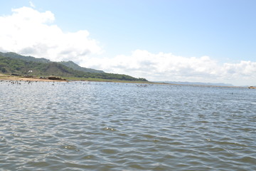 Fototapeta premium naturaleza arboles presa lago 