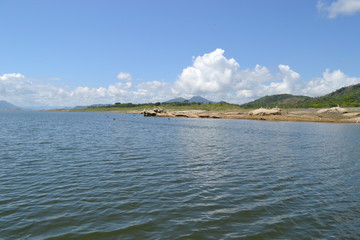 Fototapeta premium naturaleza arboles presa lago 