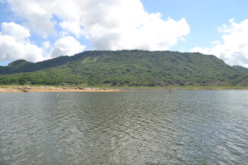 naturaleza  arboles  presa  lago  
