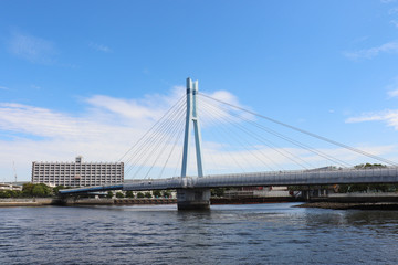 Fototapeta na wymiar 辰巳桜橋（東京都江東区東雲）