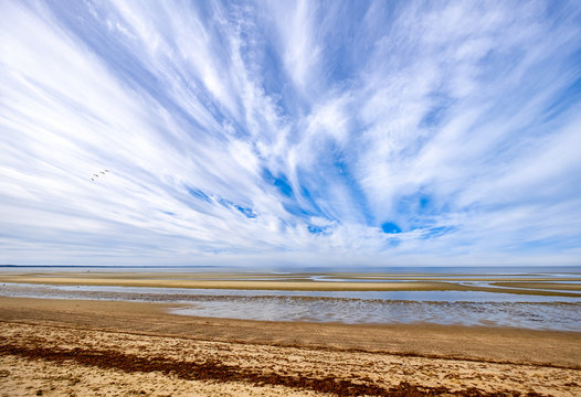 Thumpertown Beach 21