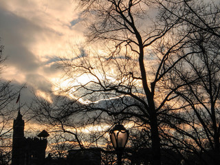 Parque árvores e por do sol