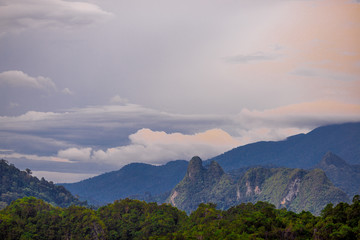 Fototapeta premium Panorama nature background on high mountains, various tree species and forest abundance, blurred wind, fresh air and cool while traveling nature studies.