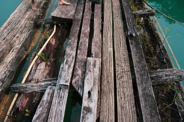 Old wood bridge. Bridge from old died tree. Wooden background 