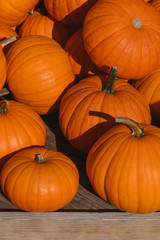 Orange pumpkins on stand at the farmers market - 297947501