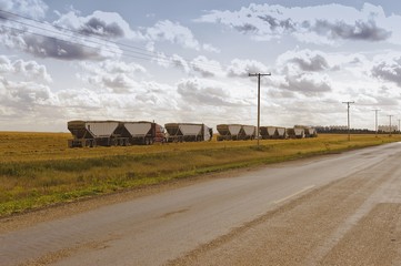 Grain hauling tractor trailer trucks