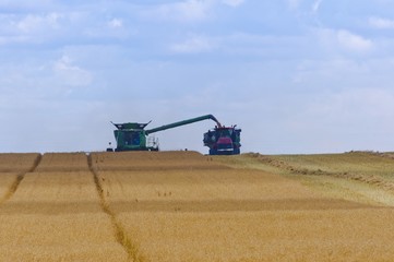 Fototapeta premium Combine loading harvest into grain cart