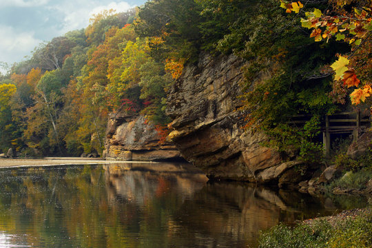 Autumn In Turkey Run State Park