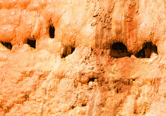 Mineral red water from the mineral springs in Gudauri in the Kazbegi District. Sources of mineral water with fossils Mtskheta Mtianeti Region, Georgia.