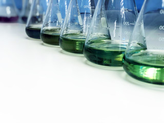 The Erlenmeyer or Conical flask on bench laboratory, with green solvent from forming reaction between boric acid and ammonia solution analysis concentration in wastewater sample. Selective focus.