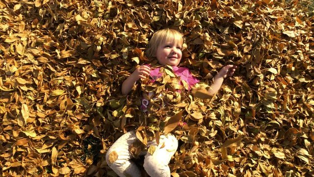 Fall colored leaves fall from the trees, landing on a cute toddler girl who is laying in a pile of leaves. She is happy, smiling, and enjoying the lay down in the leaves.