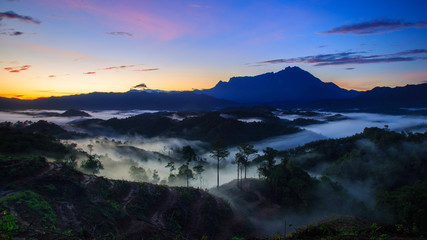 Amazing Beautiful Nature landscape view of Sunrise with  nature misty foggy and Mount Kinabalu, Sabah, Borneo