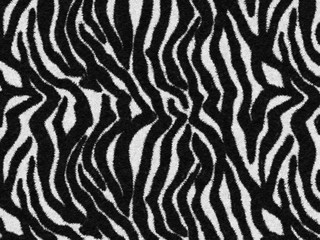 Fototapeta na wymiar Black-white Tiger print Fur texture, carpet animal skin background, black and white theme color, look smooth, fluffy and soft, fashion clothes textile concept. Design by using photoshop brush.