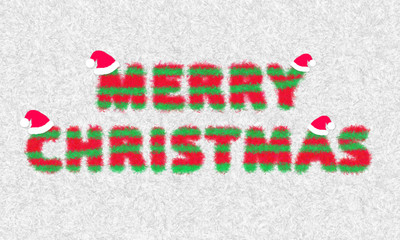 Merry Christmas 2019 Fur Feather texture Text design with Christmas hat  for use as a holiday background.  Celebration pattern abstract Red and green color on white background has copy space.