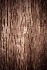 Old wood plank surfaces texture