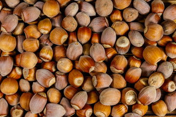 Food background of the whole hazelnuts
