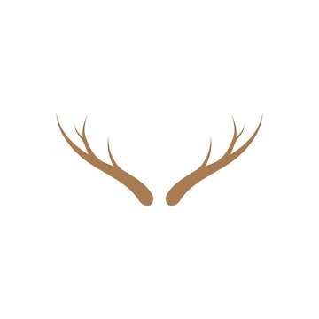 Antler Deer ilustration