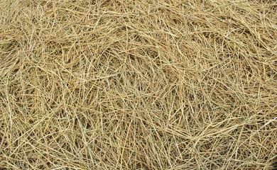 background of straw