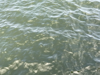 Reflection on the water surface