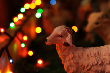 White sheep and christmas lights. Ornament sheep is part of a christmas portal, a catholic...