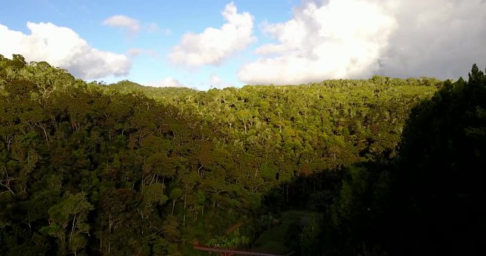 Drone flight above the rainforest in Madagascar at a sunny day.
