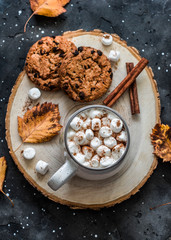 Hot chocolate with marshmallow, cinnamon and chocolate chips oatmeal cookies on a dark background, top view. Delicious warming autumn drink