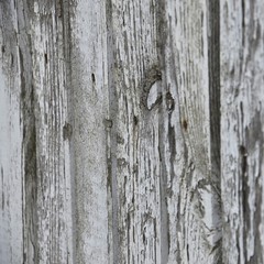 Close-up of a wooden Board.  Different colors, pale, gray, beige. Texture, background for design.