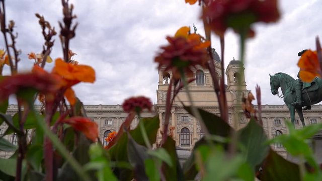 Right moving slow Motion slider through flowers with backdrop of Vienna Natural History Museum and statue