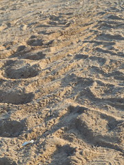 Dry ground background picture