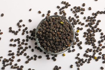 black gram seed or udad beans in bowl on white background 