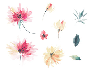 Fototapeta na wymiar Flowers watercolor illustration.Manual composition.Big Set watercolor elements.