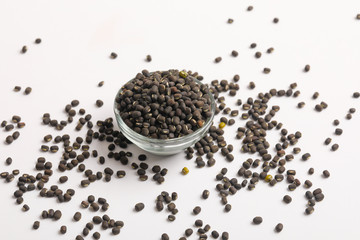 black gram seed or udad beans in bowl on white background 