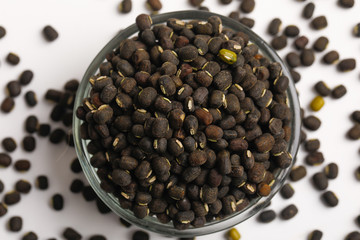 black gram seed or udad beans in bowl on white background 