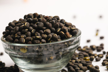black gram seed or udad beans in bowl on white background 