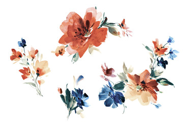 Flowers watercolor illustration.Manual composition.Big Set watercolor elements. - 297965724