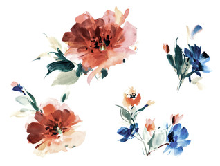 Flowers watercolor illustration.Manual composition.Big Set watercolor elements.