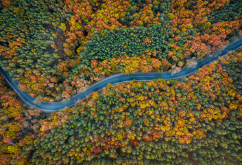 Aerial view of a mountain  road during colorful autumn