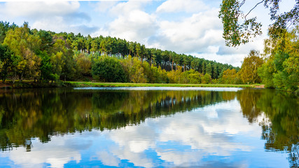 Landscape picture in Cannock Chase showing forest and lake 