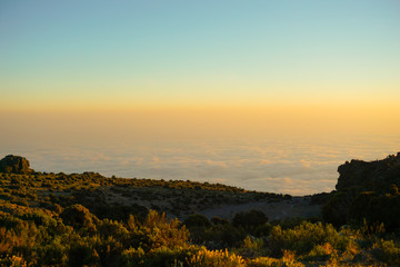 Morning mist, while the sun is rising Kilimanjaro Mountain in Tanzania background texture