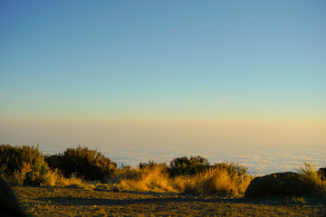 Fototapeta na wymiar Morning mist, while the sun is rising Kilimanjaro Mountain in Tanzania background texture