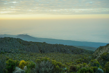 Forests are viewed from high have many fog Kilimanjaro Mountain