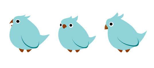 blue birds with crest in different poses on a white background