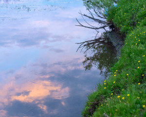 Fototapeta premium Reflection of sky clouds at sunset at dusk in the river water near the shore with green grass and yellow flowers.