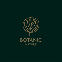 Tropical plant logos. Leaf symbol in linear style. Abstract leaf badge vector for natural product design, florists, cosmetics, floristics, ecology, health, medicine, healthy food